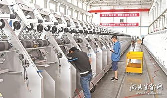 行業(yè)小巨人闊步高精尖 宜昌隱形冠軍引領(lǐng)高質(zhì)量發(fā)展